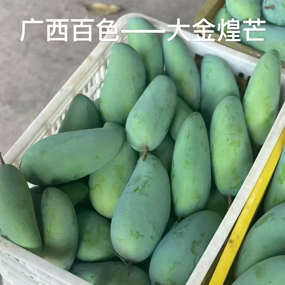 百色芒果精品礼盒台农贵妃大金煌芒两拼三拼装产地直发坏果包赔 一级精品大果礼盒装净果8斤（台农 、金煌、贵妃三拼）