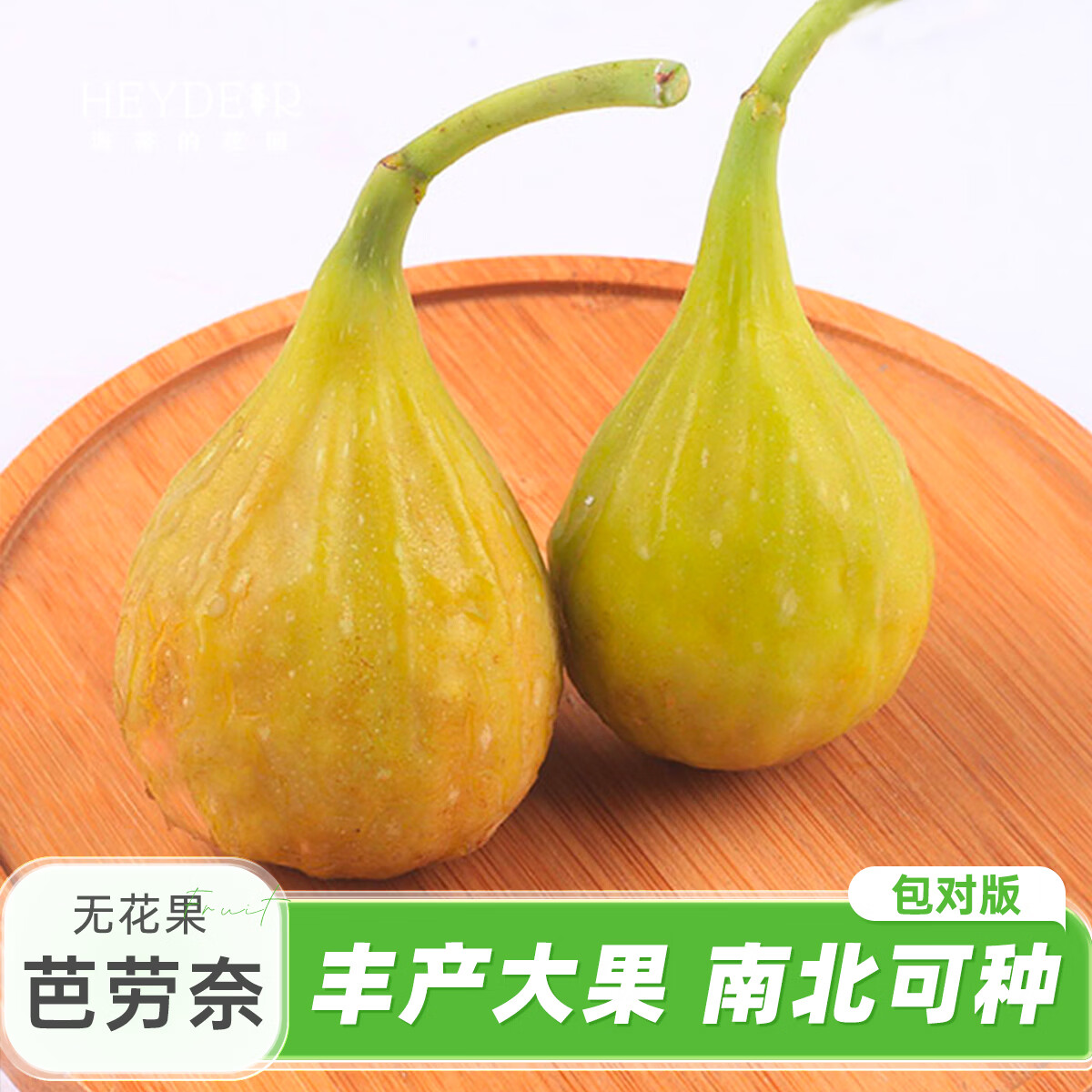 海蒂的花园旗舰店无花果树苗盆栽芭劳奈大果地栽矮化当年结果南北方种植对版 无花果芭劳奈13cm盆