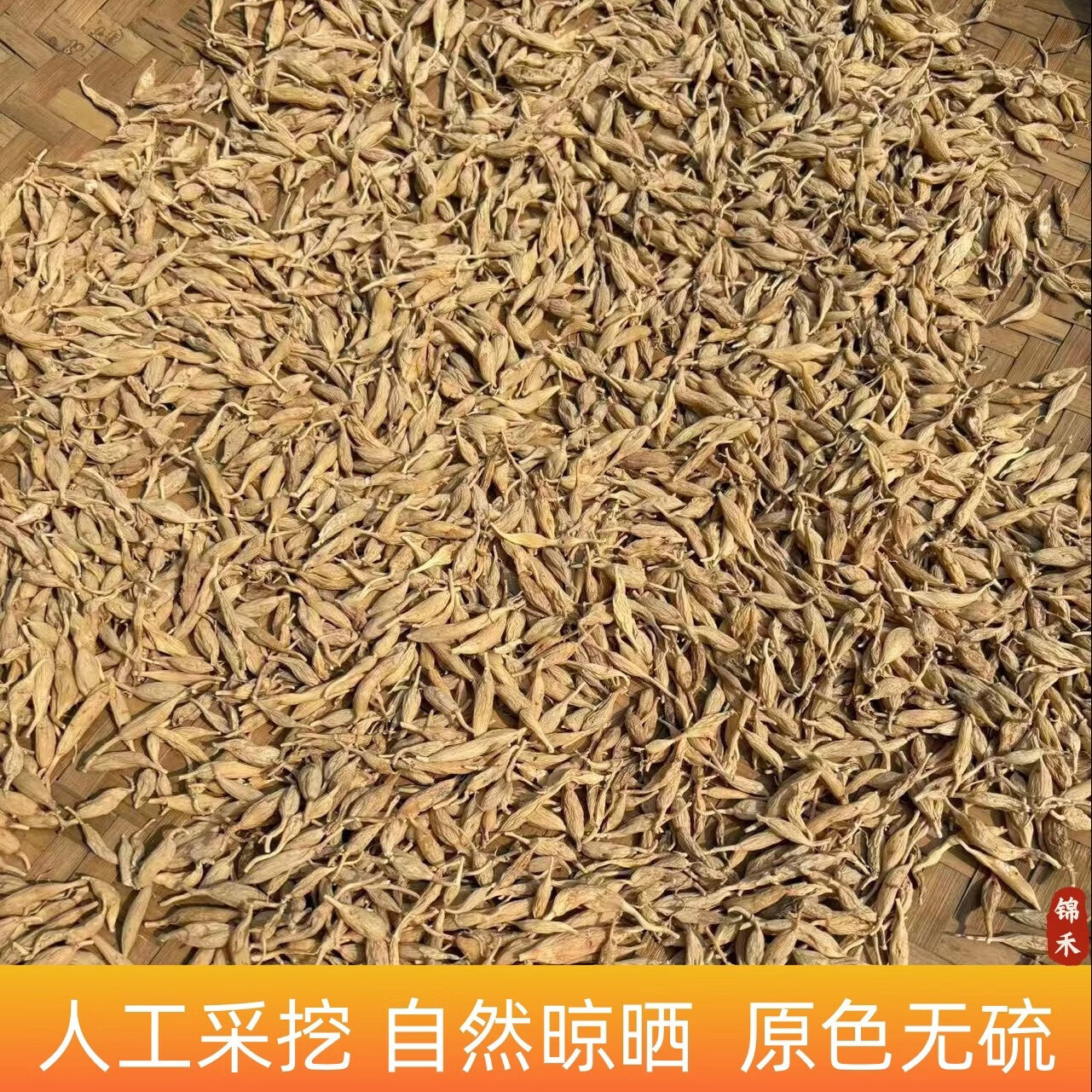 四川深山野生川麦冬农户自挖无硫熏染自然晒干深山川麦冬泡水煲汤 野生川麦冬 250g*2袋