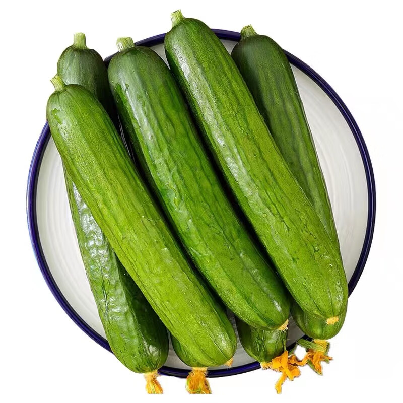 京地达栗贝诺水果小黄瓜3斤 清脆爽口 蔬菜 健康轻食 源产地源头直发