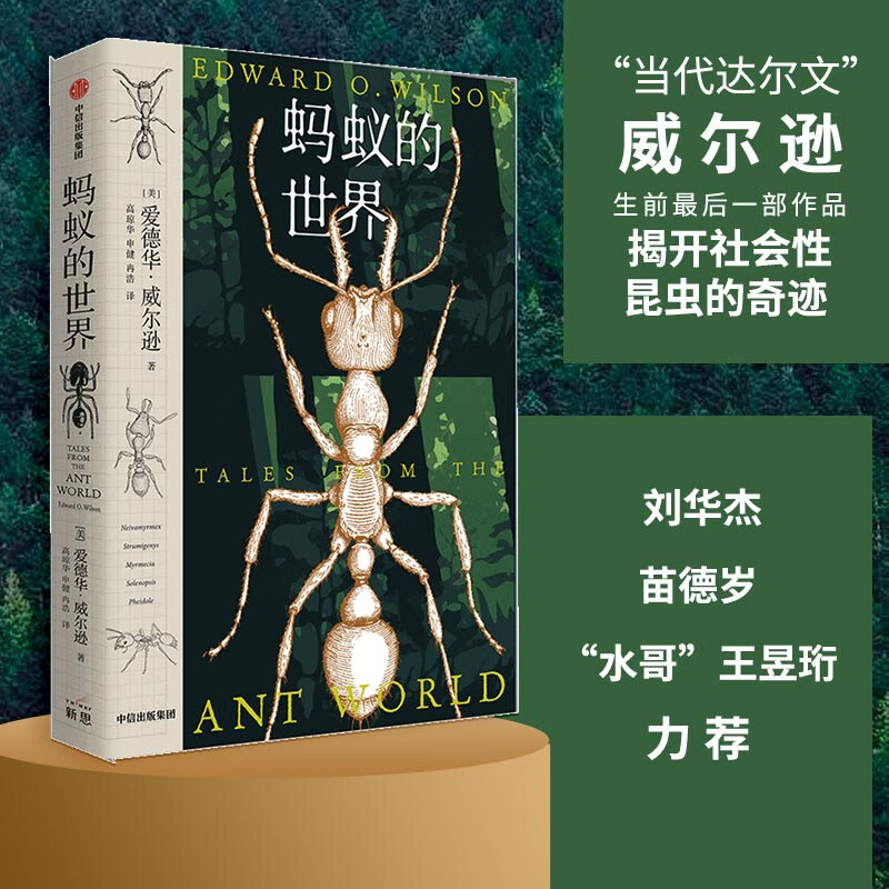 蚂蚁的世界(蚂蚁身上藏着进化的奥秘,是推动世界运行的小生物,更是