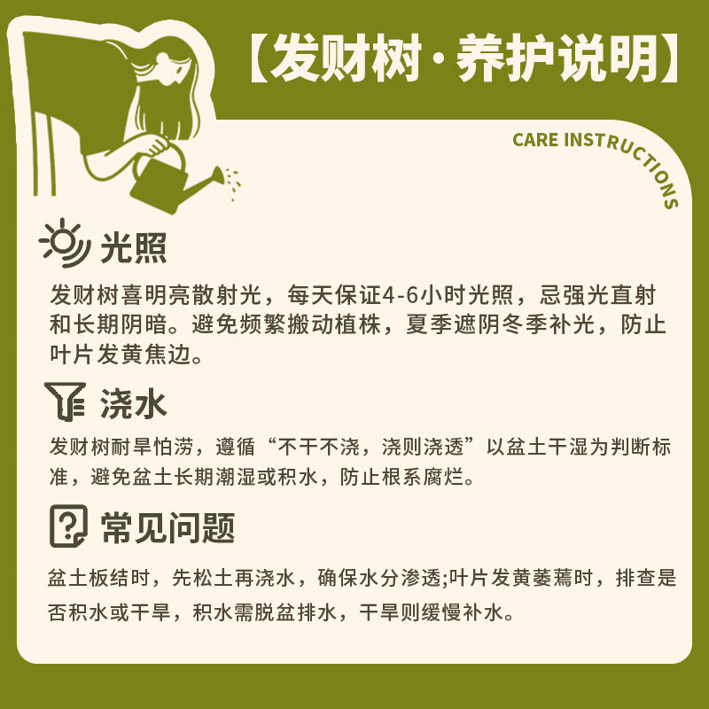 筠钗原生发财树客厅盆栽大绿植办公室内八方来财开业送礼招财树落地 【原生发财树】1.4-1.6m(圆柱盆)