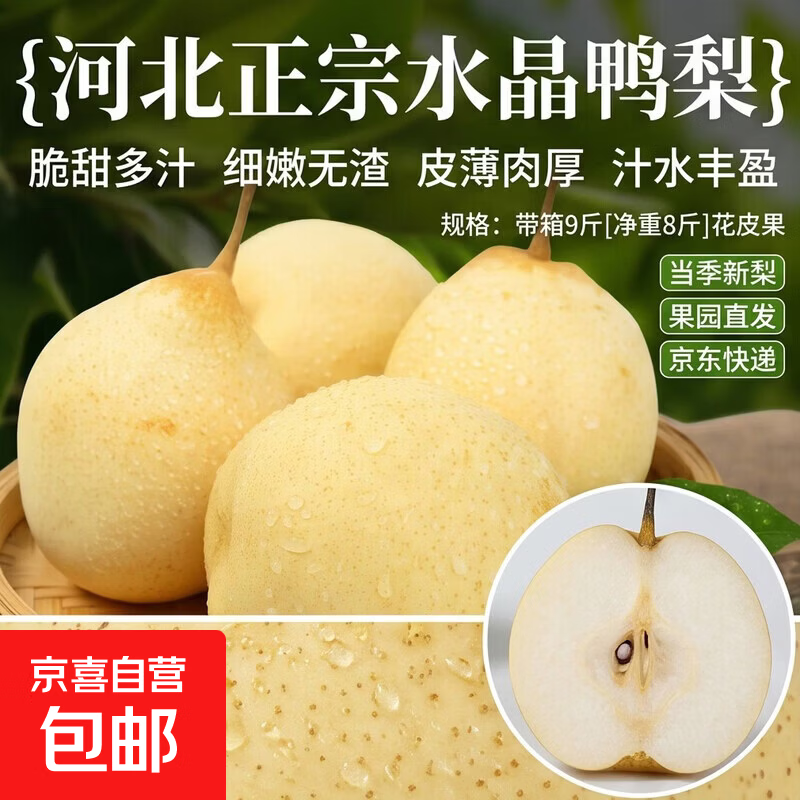 河北正宗水晶鸭梨脆甜多汁新鲜水果当季特产【京严选】多地隔日达 带箱9斤[净重8斤]花皮果 当季新梨 果园直发 京东快递