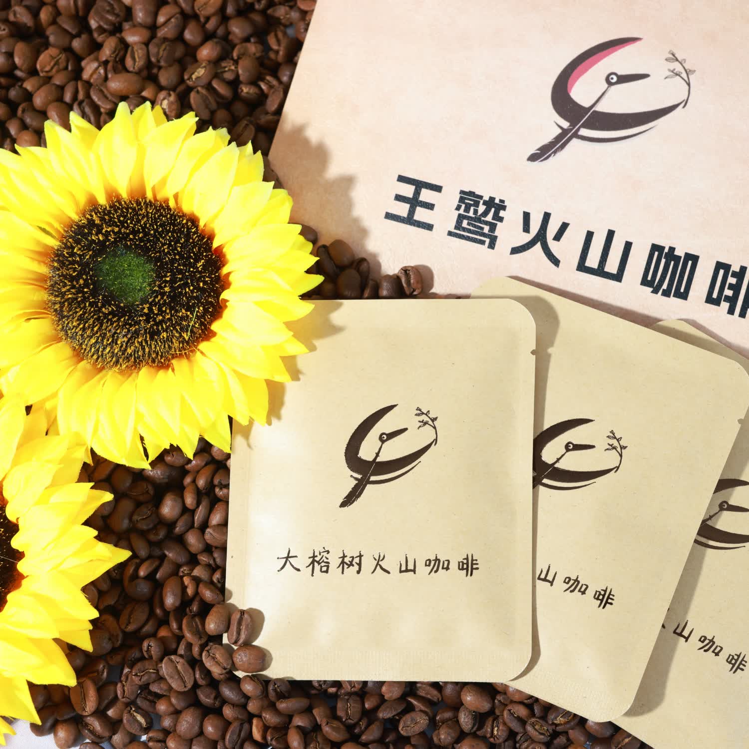 王鹫庄园 盲盒体验装  进口咖啡豆 精品挂耳美式手冲5袋*10g航海系列加班 挂耳盲盒千人好评（航海系列）（偏苦0酸不涩口） 中深烘