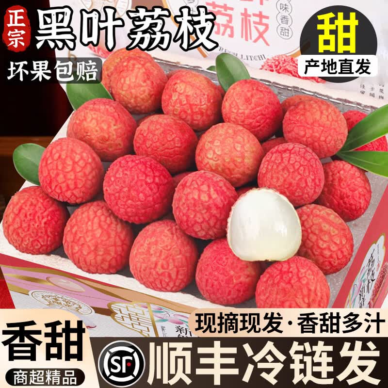 粤迎黑叶荔枝【JD顺丰冷链送货上门】新鲜荔枝甜蜜现摘现发端午盒送礼 3斤独享装【单人独享装-较较划算】净2.5斤 A+级精选果【我狠甜】冷链到家