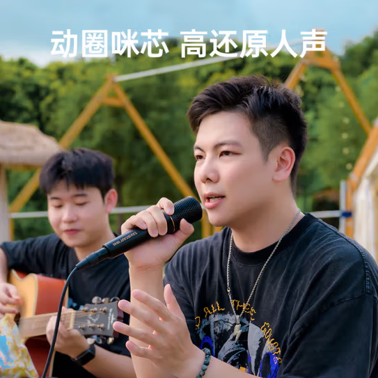 得胜(TAKSTAR)DM-2300专业有线动圈麦克风 直播K歌KTV唱歌音响调音台功放专用手持话筒 舞台演出主持户外OK家用 得胜DM103有线动圈麦克风