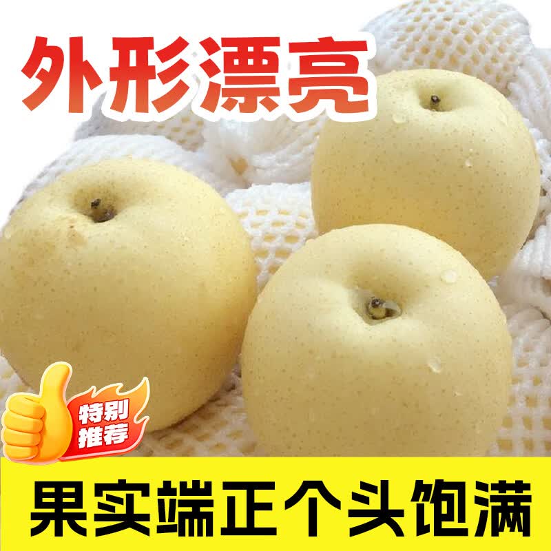 黔婆婆皇冠梨河北皇冠梨产地直发脆甜多汁梨子整箱新鲜水果单果200g+ 净重4.5~5斤