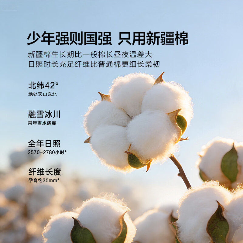 百丽丝全棉床单100纯棉床单学生宿舍床单床上用品床单单件 冰咖啡色 床单 160cm*230cm