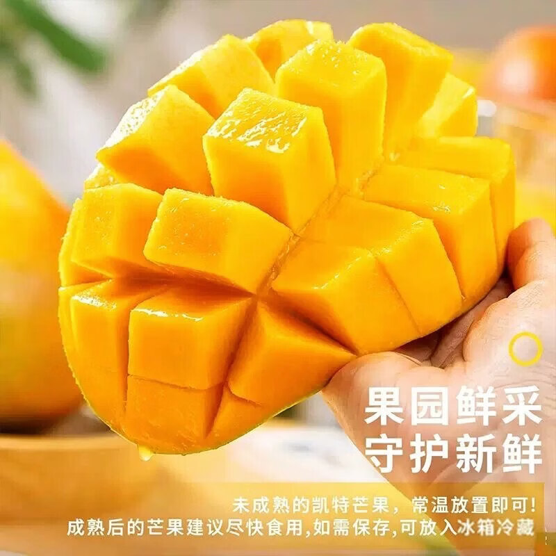 BUY攀枝花凯特芒青黄皮芒果新鲜当季热带水果生鲜源头直发 3斤 大果（500-600g）