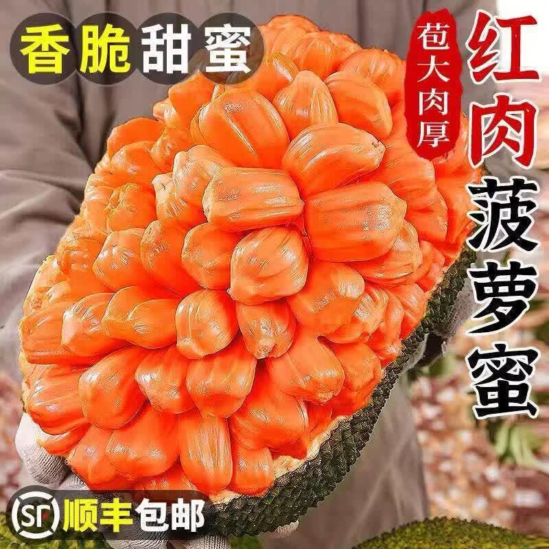 正宗红肉菠萝蜜当季新鲜水果一整个树上熟波罗蜜脆甜干包顺丰包邮 印尼红菠萝蜜 13-14斤整个果发货
