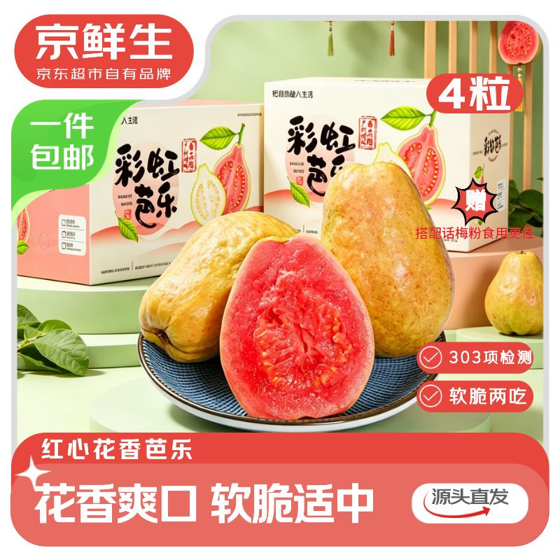 京鲜生 广东红心芭乐4粒装 单果130g+ 软糯脆爽两吃源头直发包邮