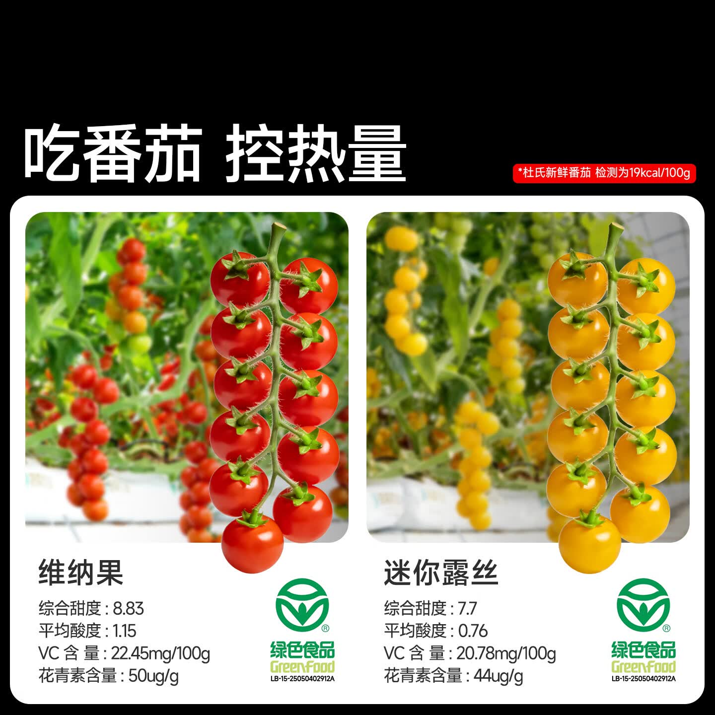DU'S杜氏NFC果蔬汁纯番茄鲜榨轻断食代餐抗饿饱腹感强无蔗糖零食 100%番茄汁200ml*10盒 整箱