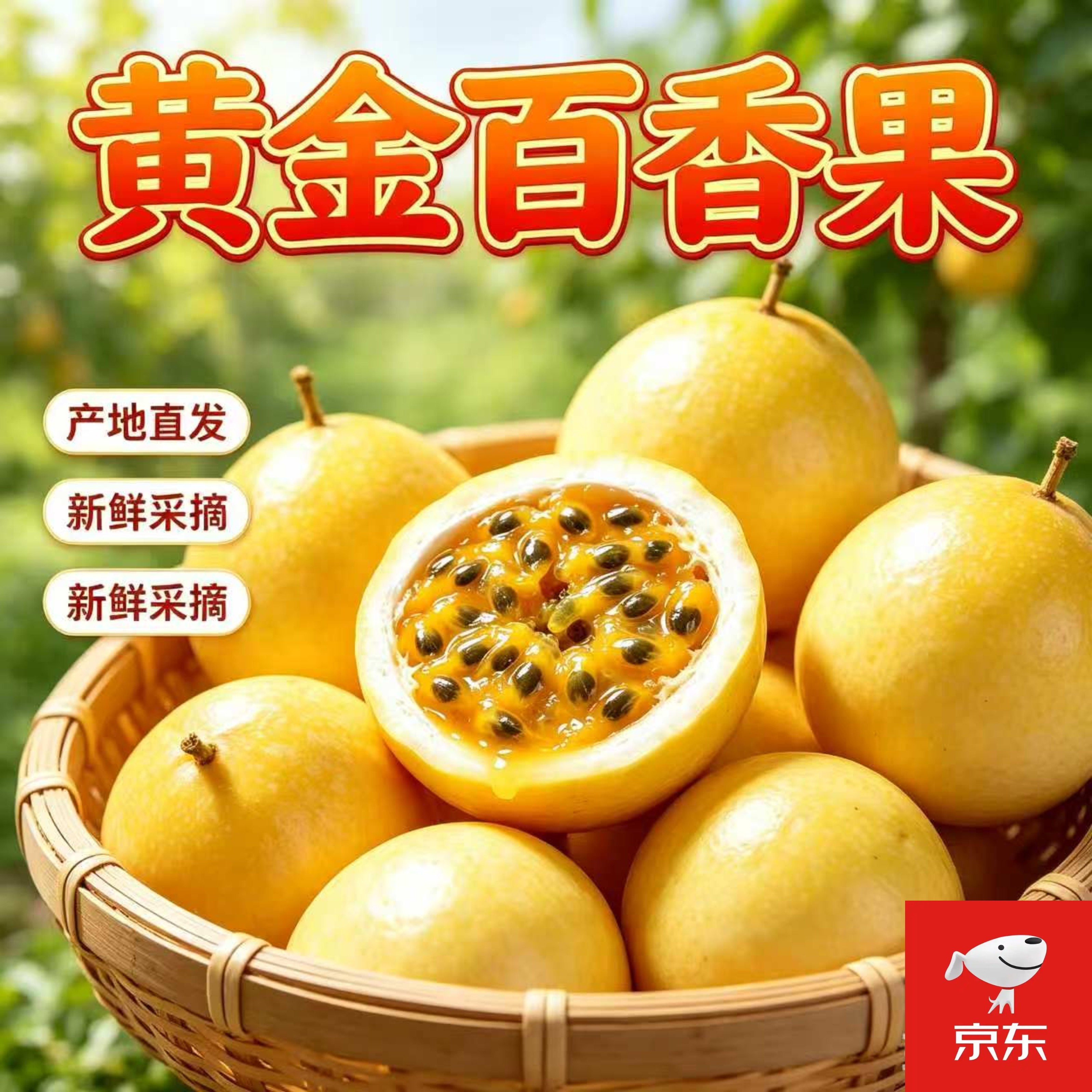 武平钦蜜9号黄金百香果新鲜水果当季现摘百香果整箱包邮 【新鲜现摘-尝鲜】3斤(大果)单果60g-70g