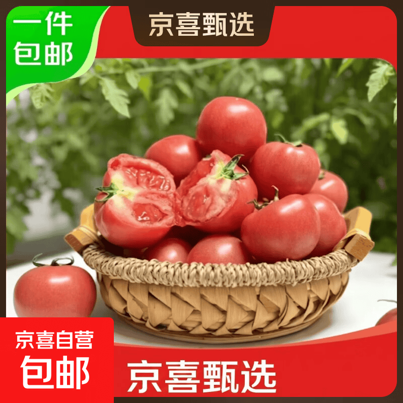 京喜自营正宗山东普罗旺斯番茄 沙瓤即食农家现摘水果西红柿 普罗旺斯3斤净重