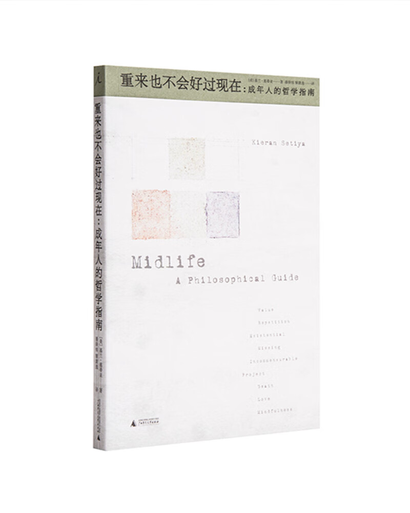重来也不会好过现在：成年人的哲学指南