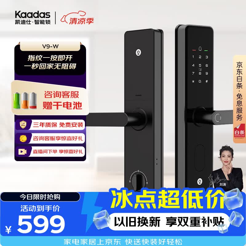 凯迪仕（KAADAS）智能门锁 指纹识别 防盗门锁密码锁 入户门电子智能锁 V9-W
