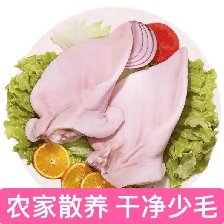 生鲜冷冻猪耳片猪耳朵猪耳尖干净无毛短根凉拌卤味整只顺丰包邮 5斤【短根生鲜猪耳朵】