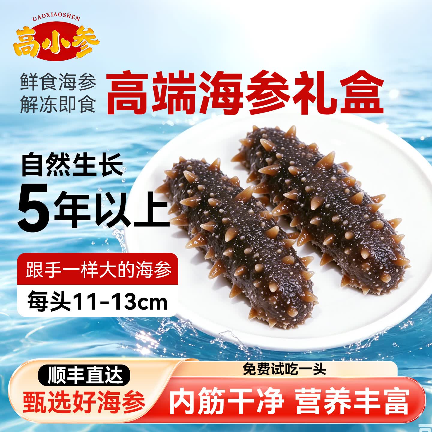 高小参即食鲜食海参高品质独立包装原生态海域礼盒装送礼2.5kg抖音同款 2500g家庭装共25-30头(普通盒装无礼盒)