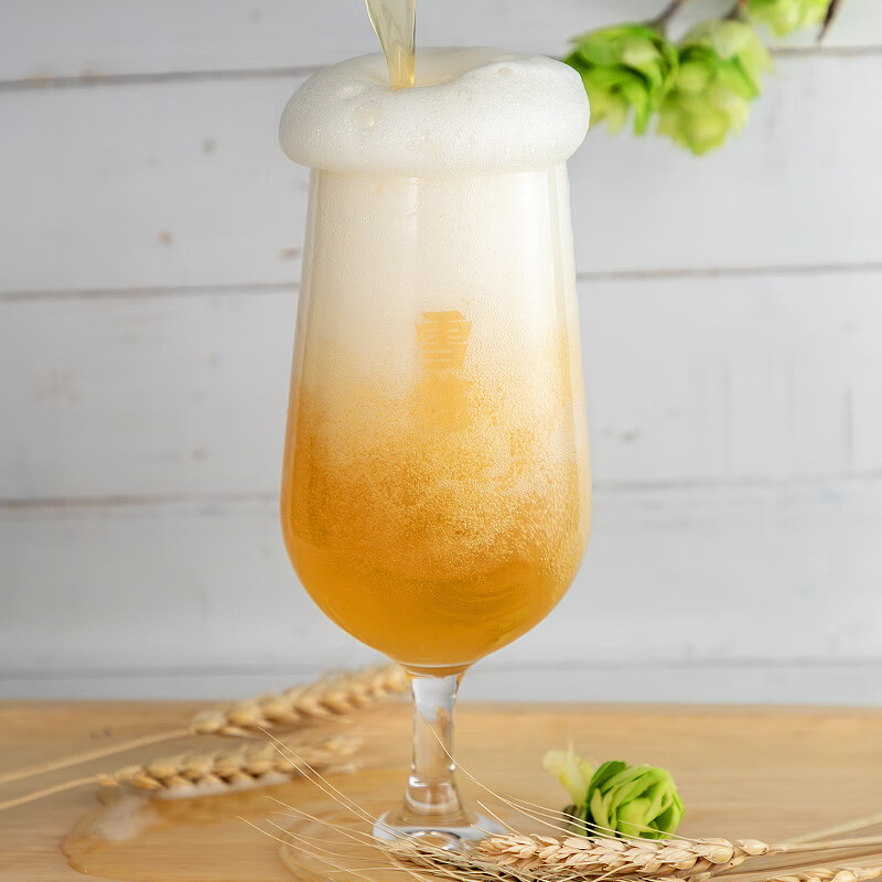 雪花啤酒 黑狮 白啤 500mL 12罐 到期日7月