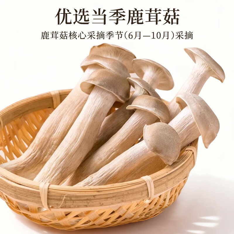 精选鹿茸菇干货新货鹿茸菌鹿茸菇食材特产脆脆菇煲汤炒菜香菇包邮 鹿茸菇袋装500gx2袋