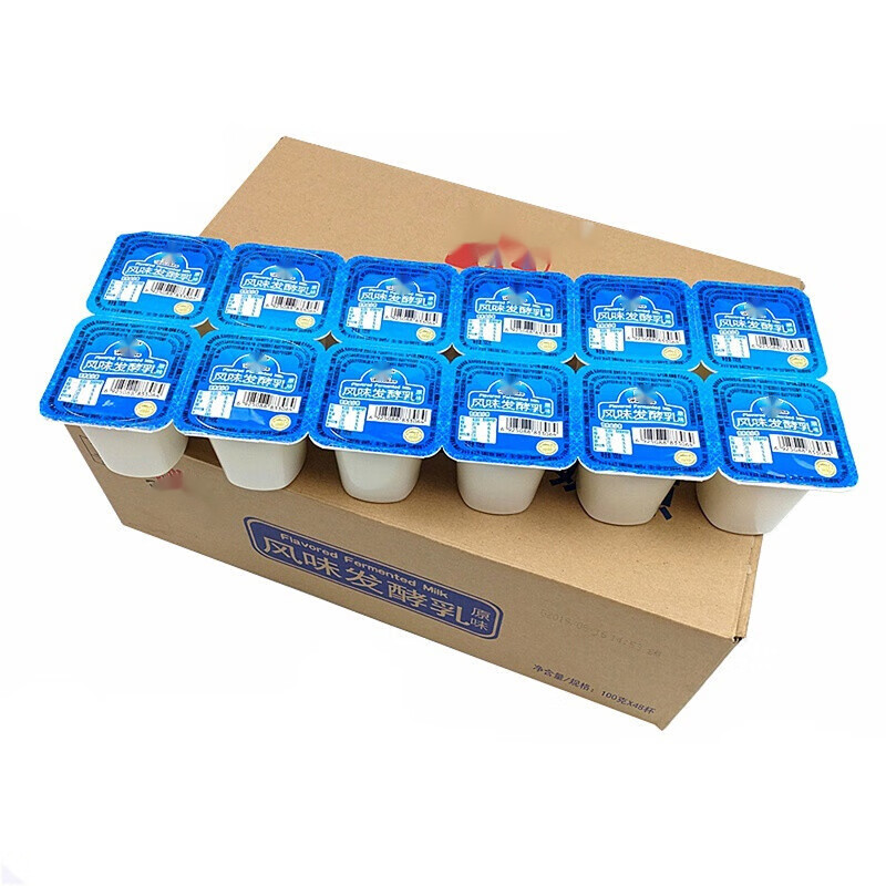 巢浩发酵乳 原味酸奶蓝杯 自然生牛乳发酵 100克x24杯(加冰袋发货)