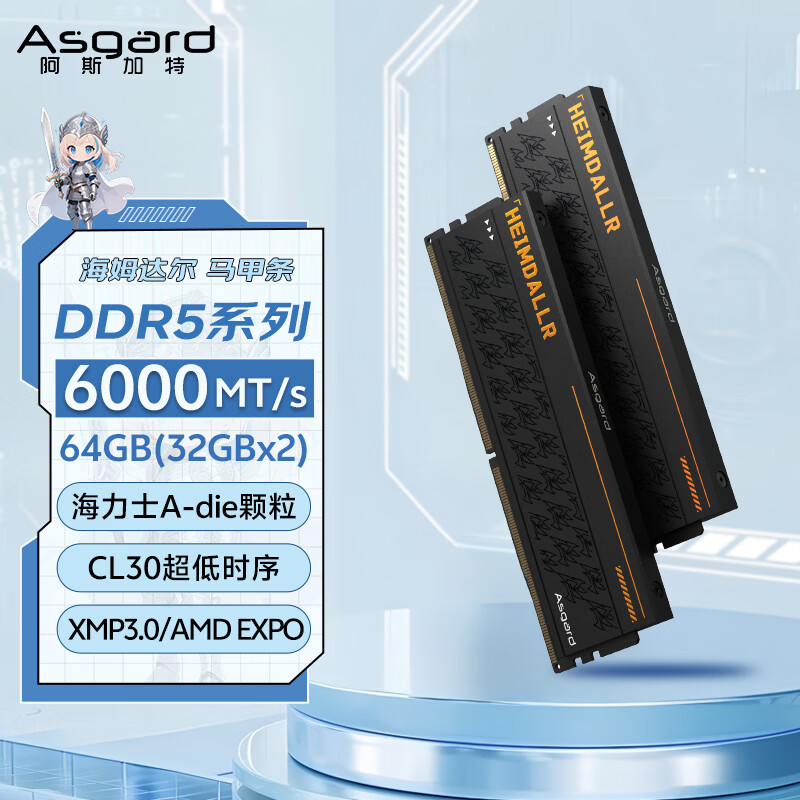 阿斯加特（Asgard）64GB(32GBx2) DDR5 6000 台式机内存条 海姆达尔 马甲条 海力士A-die CL30 黑厚甲