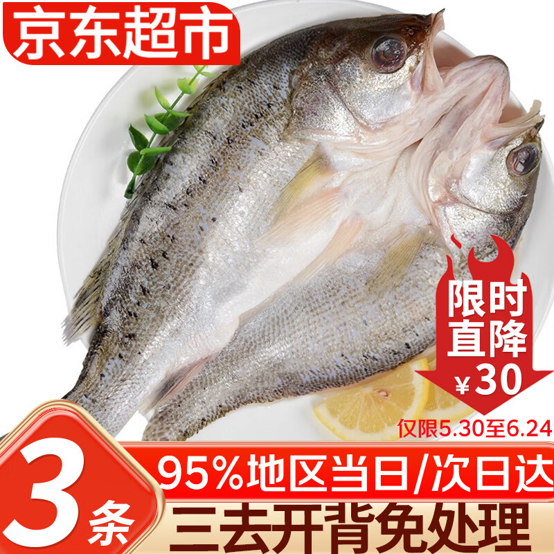 优牧冠 新鲜冷冻海鲈鱼/河鲈鱼 红鼓鱼随机 去鳞去鳃去内脏 三去免处理 【开背加大号】(净重)500-600g*3条装