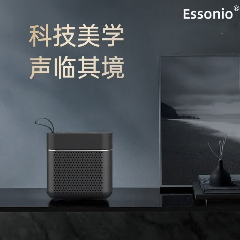 ESSONIO品牌5.3蓝牙音箱小巧便携式重低音炮IPX7防水可运动户外可家用插卡迷你型户外小音响 黑色【迷你便携+IPX7防水】
