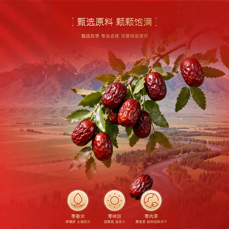 东阿阿胶 阿胶枣礼盒 即食阿胶滋补营养 成人小孩送人礼物 山东特产 【高端伴手礼】真阿胶蜜枣 100g*12盒 礼盒