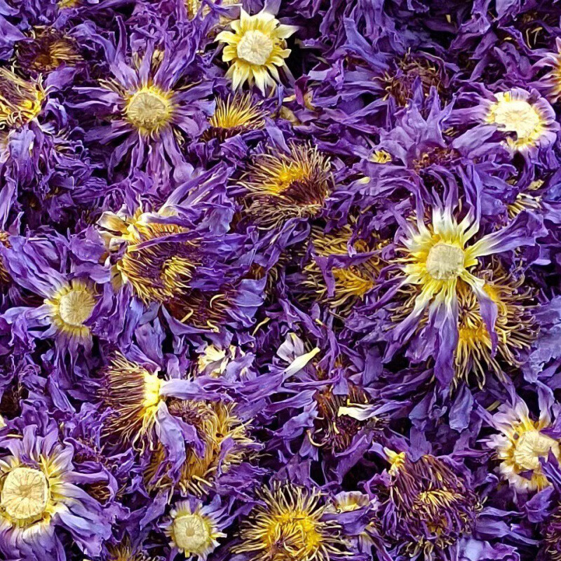 同仁堂（TRT）蓝莲花茶新货无硫云南九品香水莲花睡莲花茶泡茶埃及睡莲花茶 蓝莲花 100克 1袋*1袋