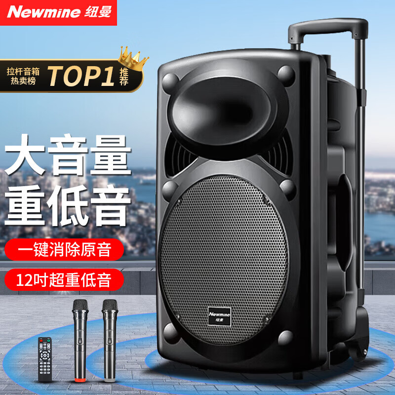 纽曼B12广场舞音响12英寸户外大音量蓝牙拉杆音箱大功率便携式移动演出k歌低音炮地摊摆摊喇叭双麦版