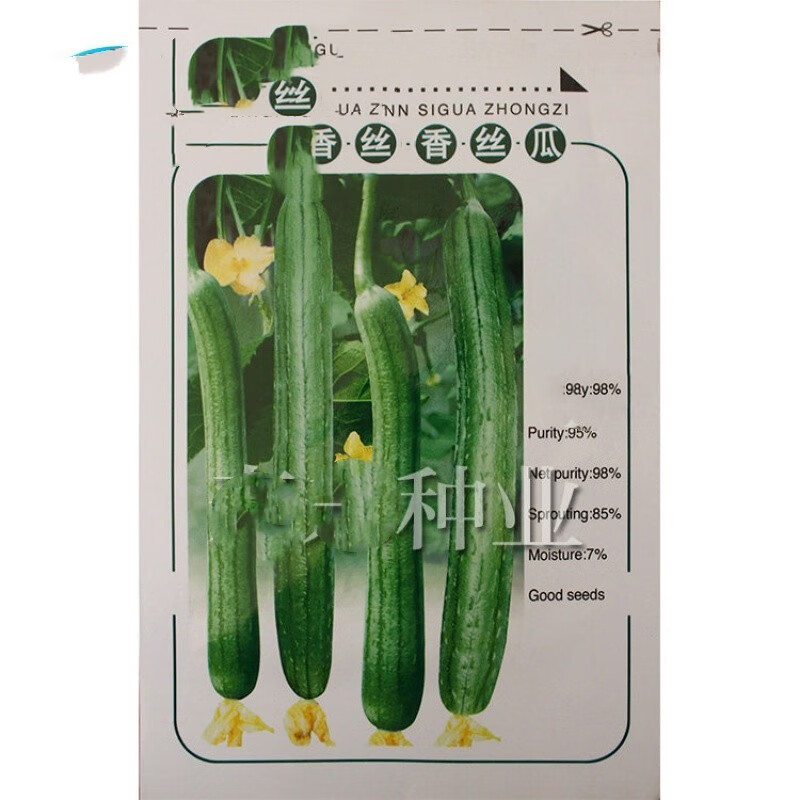 菜友肉丝瓜种子苗特大瓜类种籽南方种四季巨型蔬菜秧菜孑北方秧苗幼苗