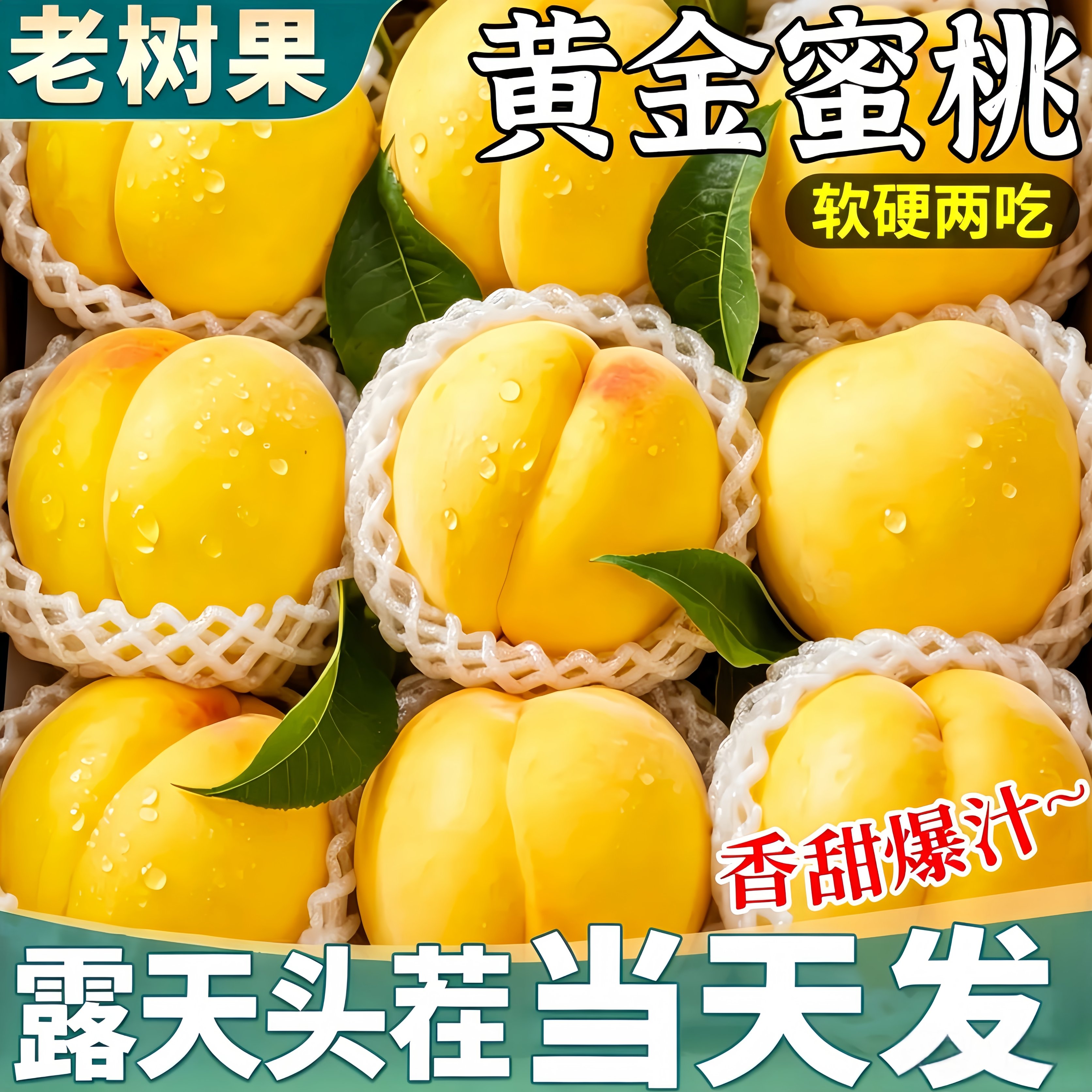 蒙阴蜜桃 正宗山东蒙阴黄桃【源头直发】当季水果现摘水蜜桃有毛无毛桃子 5斤严选装【脆软两吃】净重4.5斤 有毛黄桃【多地次日达】