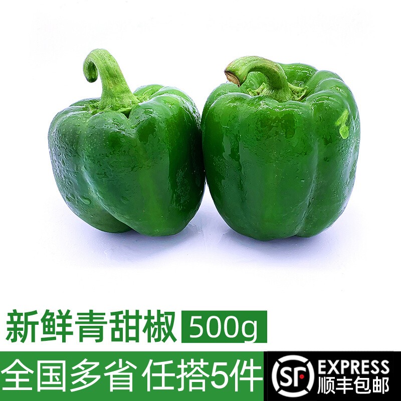 绿食者新鲜青甜椒500g 青圆椒 绿椒 青椒 新鲜农家蔬菜