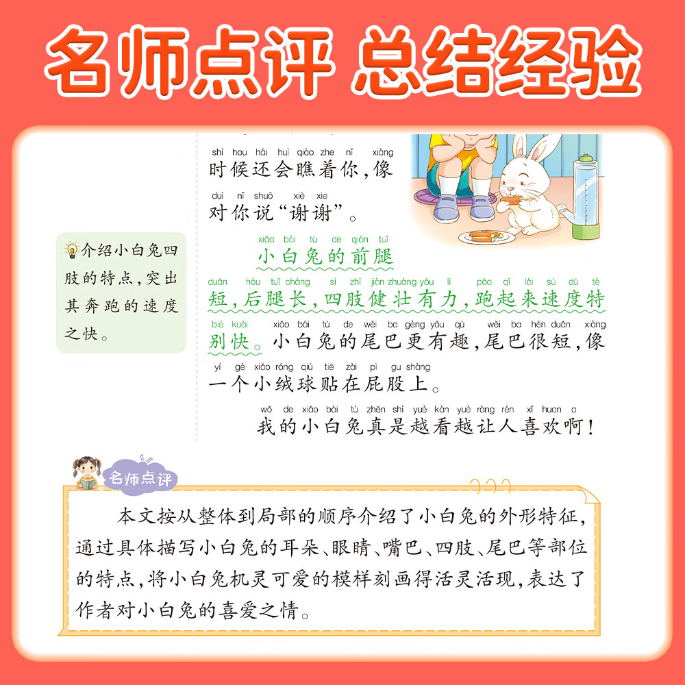二年级上册同步作文看图说话写话人教版2026新版小学生语文同步作文二年级下册课本同步训练写作技巧素材积累优美句子好词好句大全 二上3本:同步作文+字帖+语文课堂笔记