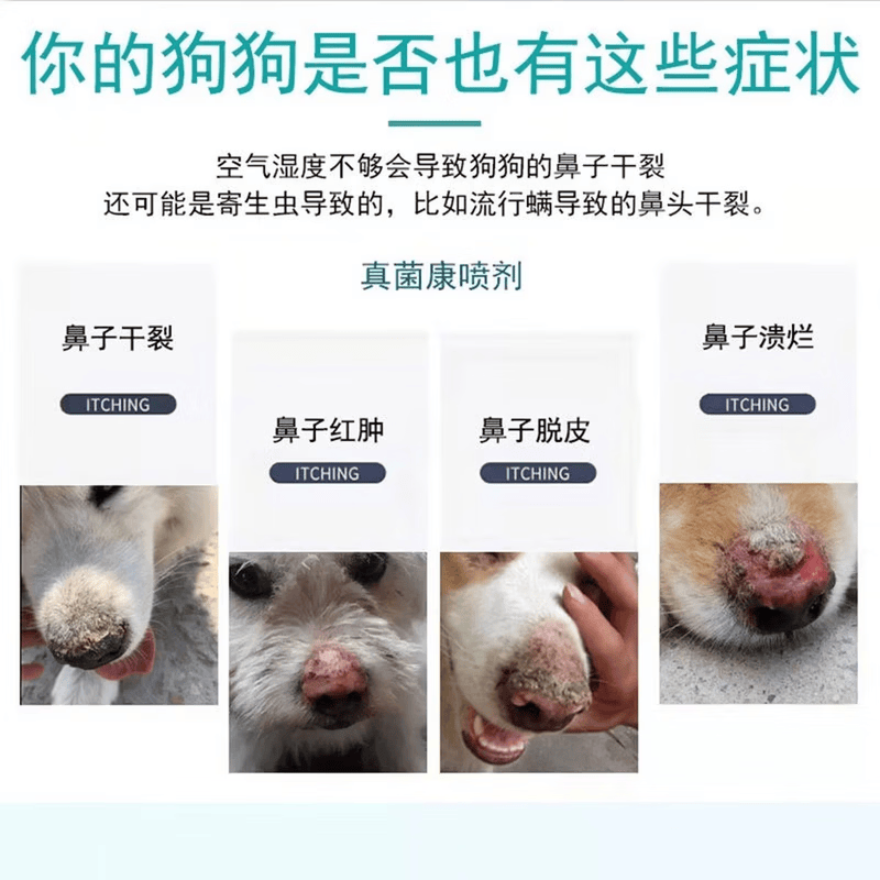 [希码舒]盐酸特比萘芬乳膏 1%*20g 1盒装 宠物猫癣软膏人用1%真菌止痒抑菌搽正品剂狗狗用治猫咪皮肤病药真菌感染皮炎 狗癣猫藓用药
