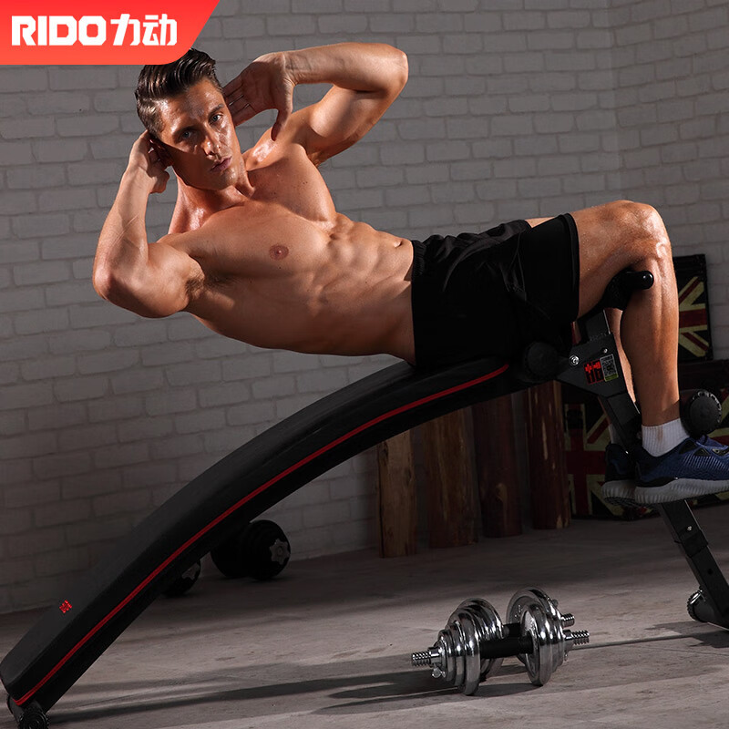力动（RIDO）仰卧起坐辅助器 健身器材家用 可折叠仰卧板 腹肌健身器 收腹器械收腹机TD20
