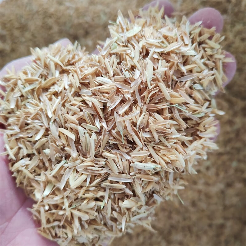稻壳垫料 谷壳垫料 养小鸡 芦丁鸡垫料 优质农家谷壳 50斤稻壳