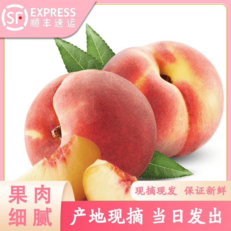 正宗山东肥城水蜜桃子国企自有果园当日现摘现发顺丰包邮 国企果园地标认证肥城桃 【性价比】12只装总重4.5-4.8斤