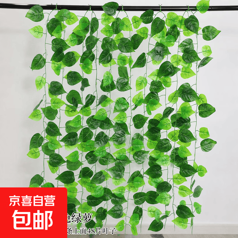 仿真绿萝假花装饰年会吊顶管道遮挡绿植藤条下水管道空调管子绿叶 48片过胶绿萝叶（5条）