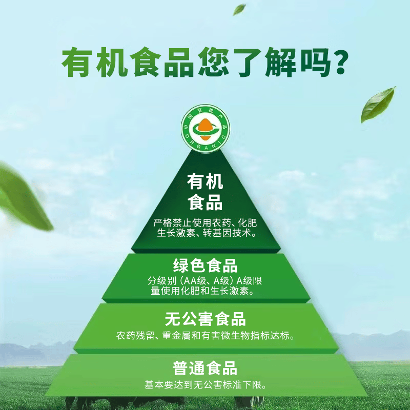 天莱香牛 原切肥牛肉卷 涮火锅食材 OFDC有机认证 新疆 全产业链 【CP装】有机牛肉卷900g
