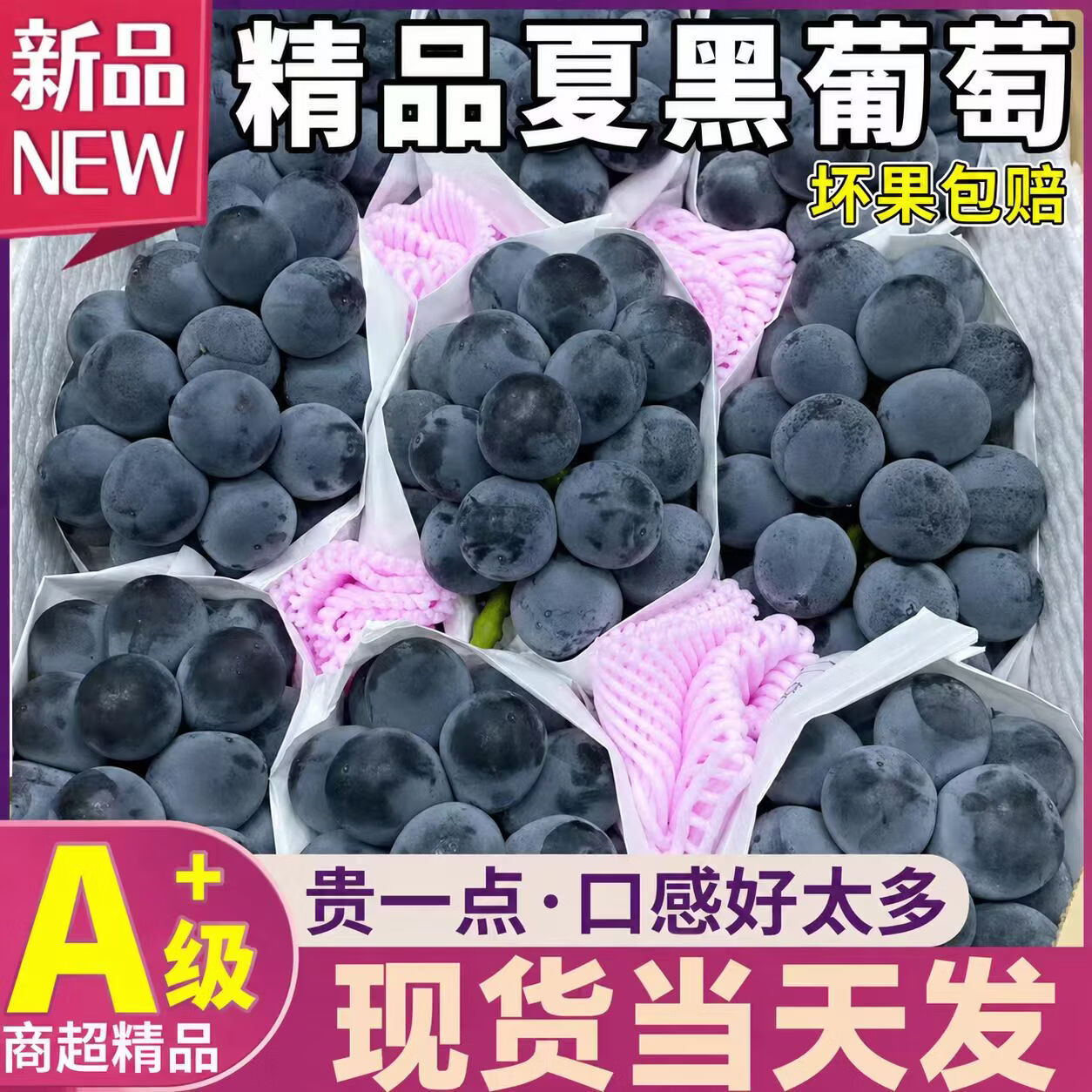 鲜级佳 夏黑葡萄【多地区次日达】云南蓝葡萄脆甜无籽孕妇水果巨峰葡萄 2斤净重【较划算】尝鲜装 A+级精选果【酸甜可口】(单个5g+)