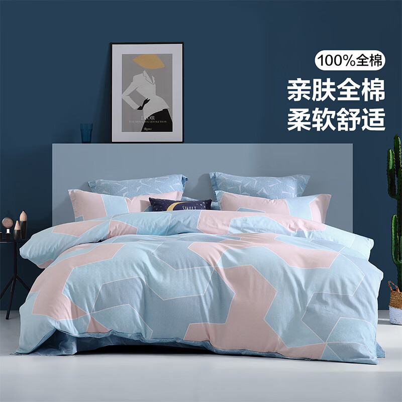 百丽丝水星家纺集团旗下 被套单件全棉裸睡被罩家用宿舍换洗【专享】 巴赫幻想印花被套 200cm×230cm