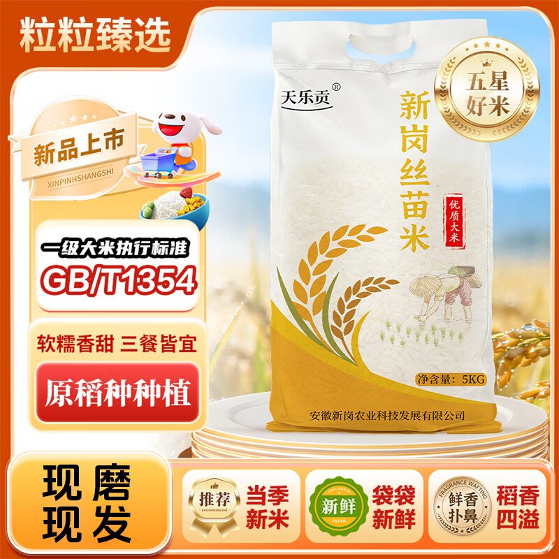 天乐贡新米一级长粒香10斤大米丝苗米长粒大米10斤装品质升级 丝苗大米10斤【品质更好，包装随机】 甄选大米【现磨新米 精装】