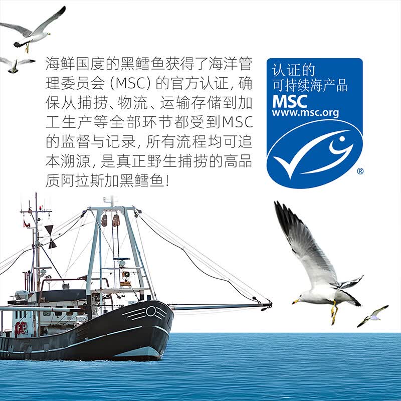 【海鲜国度】去刺进口野生阿拉斯加黑鳕鱼块独立真空包装MSC认证 去刺黑鳕鱼块2包纯肉去刺（800g）