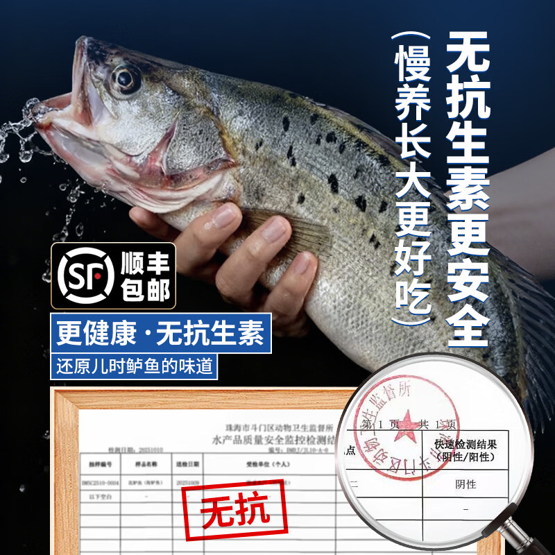 潮夫道开背海鲈鱼 三去免处理无抗生素刺少肉厚海捕海鲜水产鱼类生鲜 中号海鲈鱼4条装(400-500g/条)