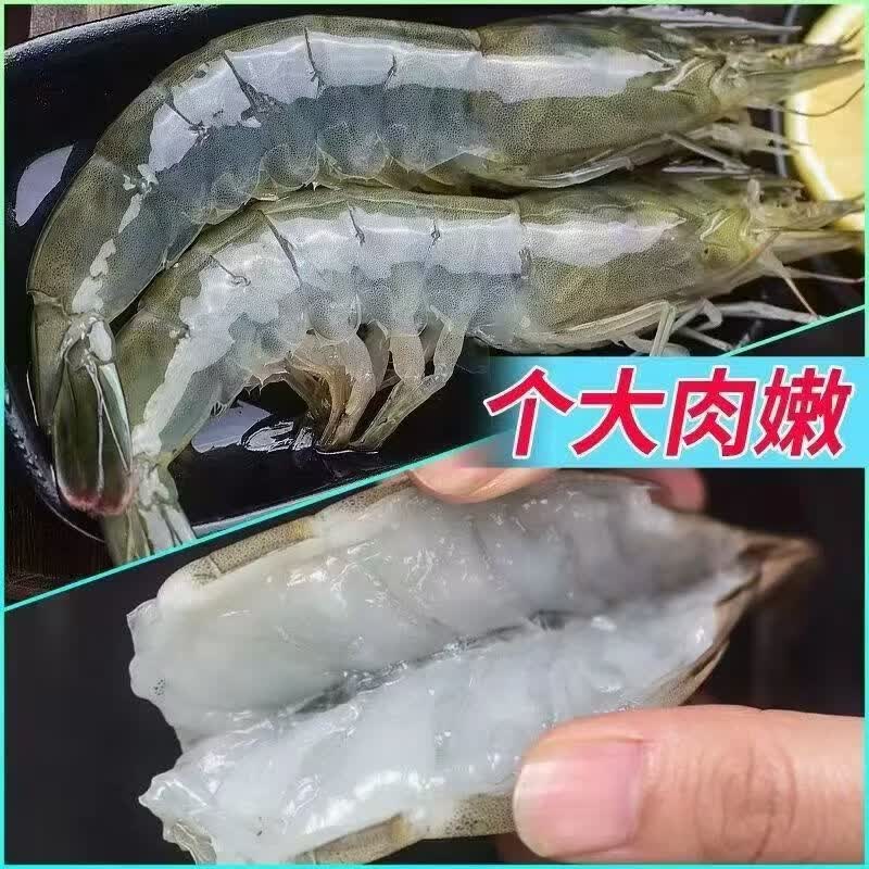 冰鲜部族精品青岛大虾国产白虾青虾基围虾鲜虾冷冻生鲜虾鲜活特大海捕整箱 15-18厘米【活虾单只速冻】 3斤(净重)