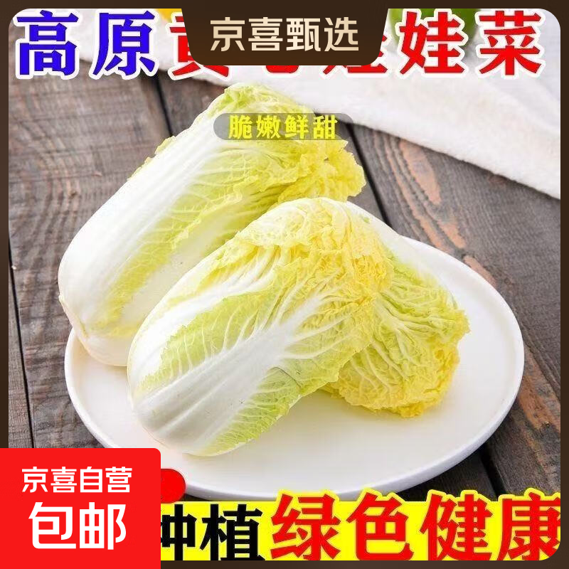 云南高山生态种植新鲜娃娃菜现摘现发脆嫩鲜甜火锅必备解腻蔬菜 新鲜现摘娃娃菜【3颗装】*1包