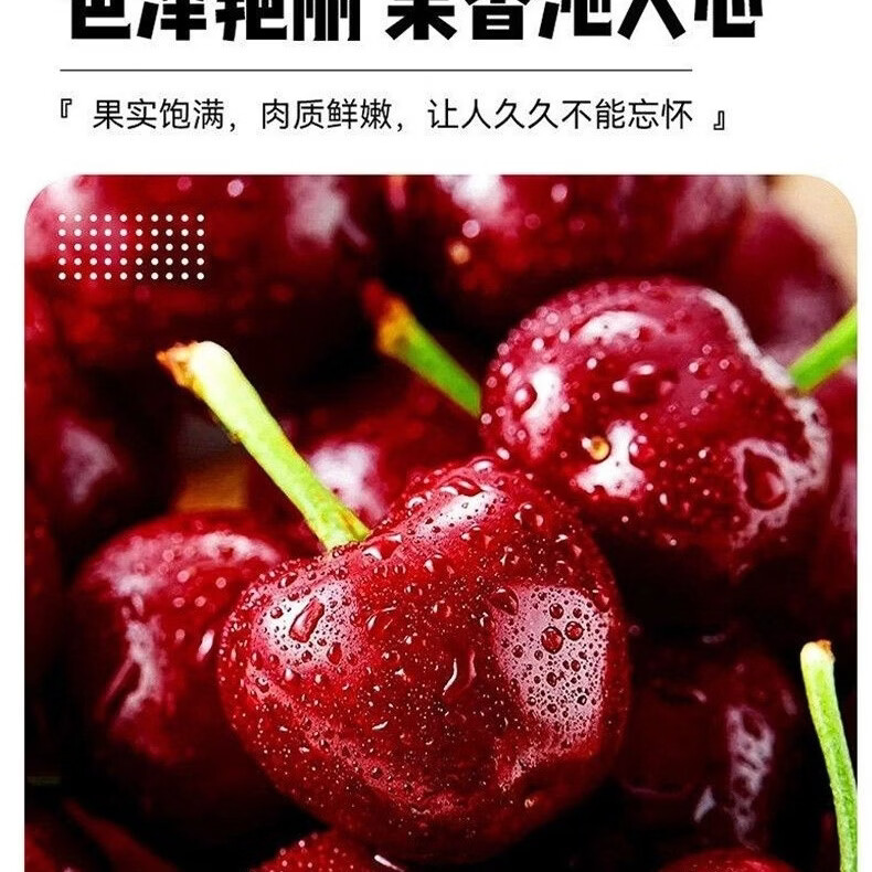 正宗俄罗斯八号大樱桃新鲜现摘果大饱满脆甜多汁当季鲜果整箱发货 3斤(净重) 特大果 28-36单果约15-22g