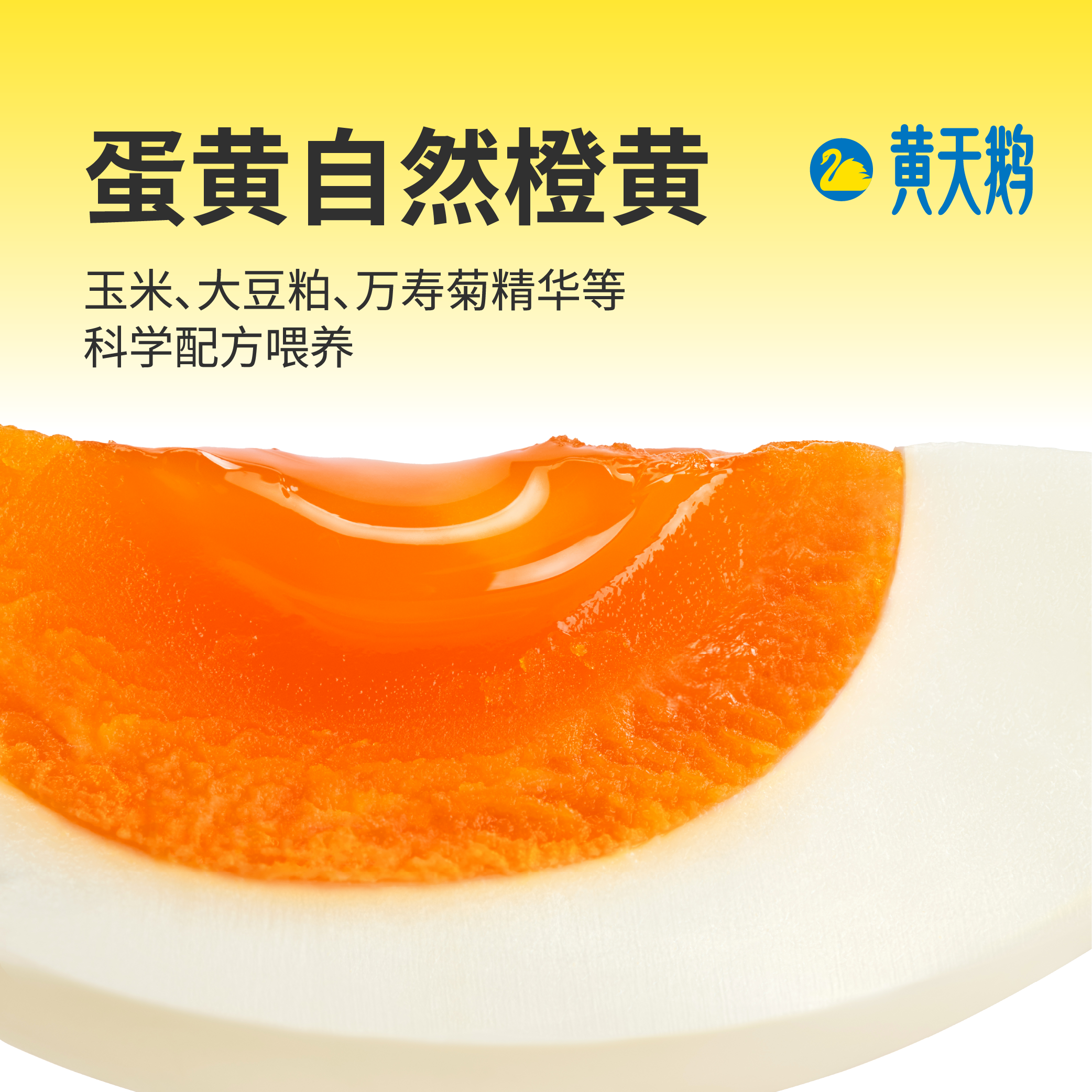黄天鹅【可生食鲜鸡蛋】30枚L级大蛋/3.6斤礼盒装生鲜鸡蛋京东自营 送礼